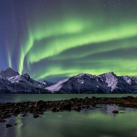 Апартаменти Lyngenfjord,Odins Hus Olderdalen Екстер'єр фото