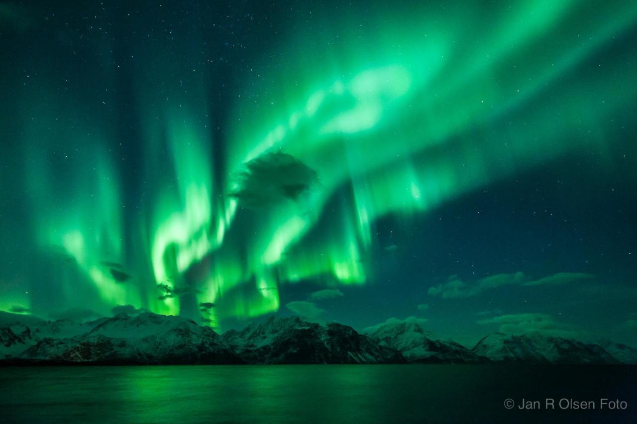 Апартаменти Lyngenfjord,Odins Hus Olderdalen Екстер'єр фото