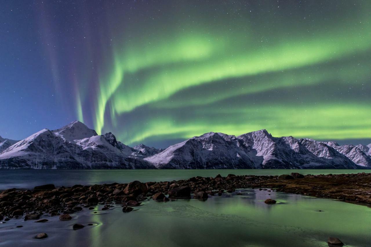 Апартаменти Lyngenfjord,Odins Hus Olderdalen Екстер'єр фото