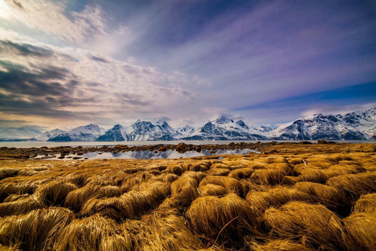 Апартаменти Lyngenfjord,Odins Hus Olderdalen Екстер'єр фото